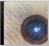     
: Pilesar-disk4.jpg
: 1810
:	7.3 
ID:	1138