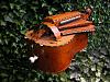     
: 06. T.Scharpach Organ Hurdygurdy (Holland 2000).jpg
: 1208
:	65.9 
ID:	1144