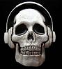     
: skull_headphones_buckleshop.jpg
: 1757
:	29.4 
ID:	4502