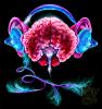     
: brain-live.jpg
: 1817
:	16.5 
ID:	922